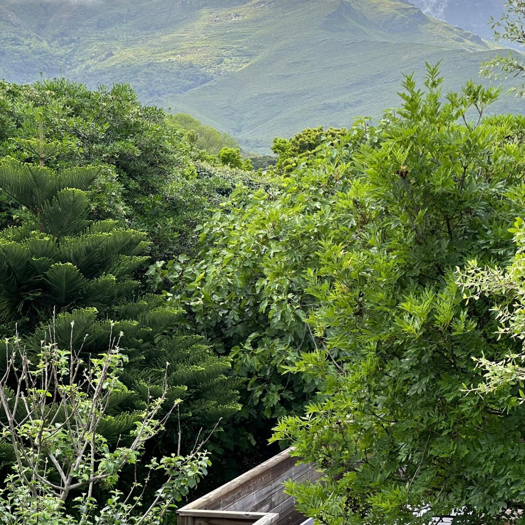 Le Relais De Sisco 아파트 외부 사진